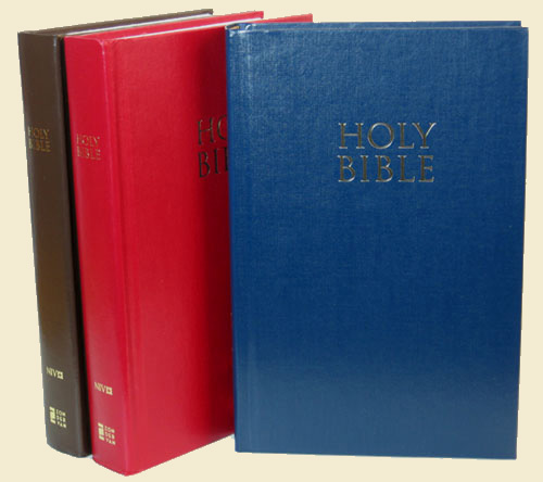 NIV Pew Bible (Navy) Case of 24